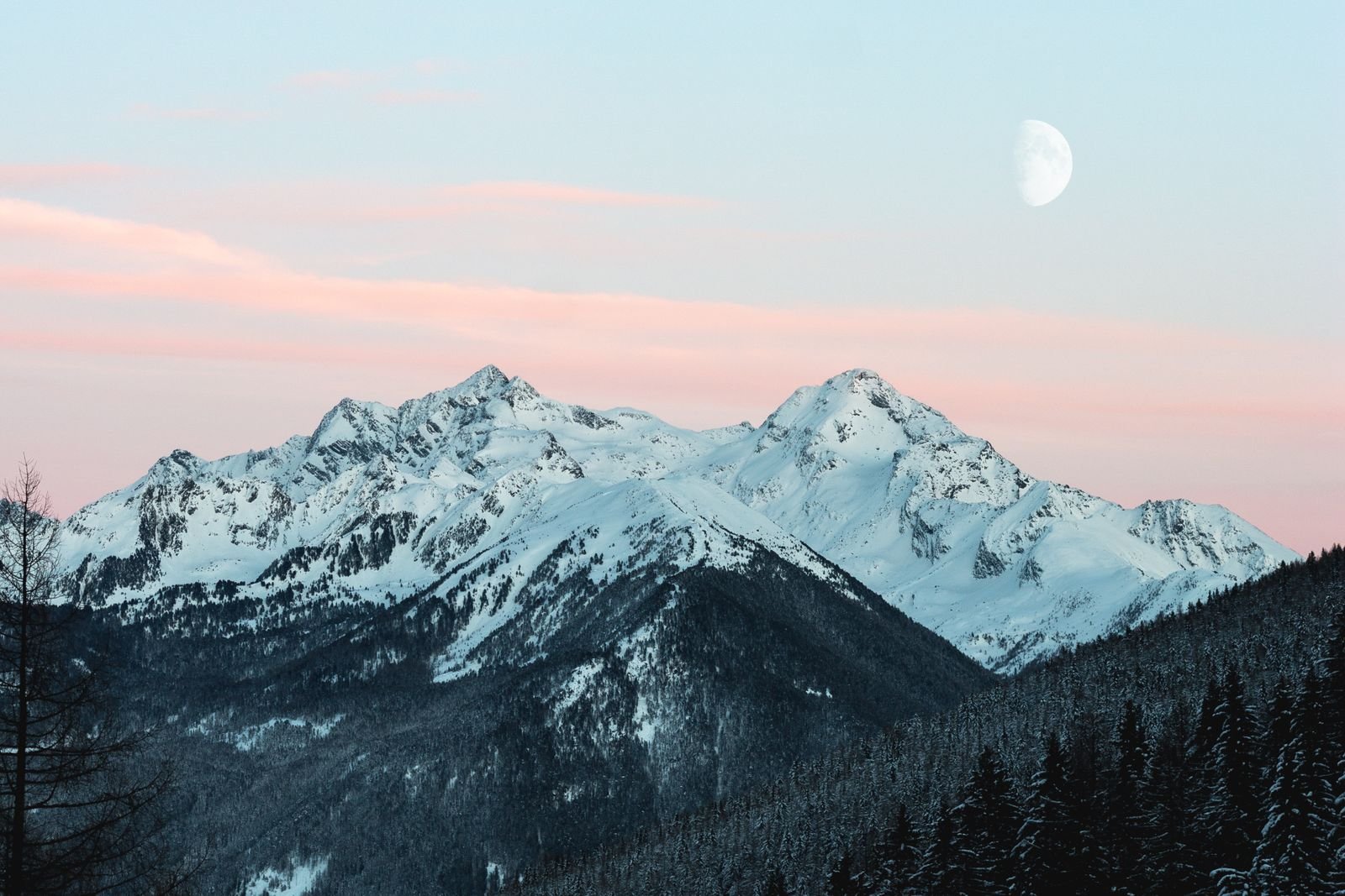 Snow-capped Colorado Rocky Mountain peaks at dawn above an evergreen forest